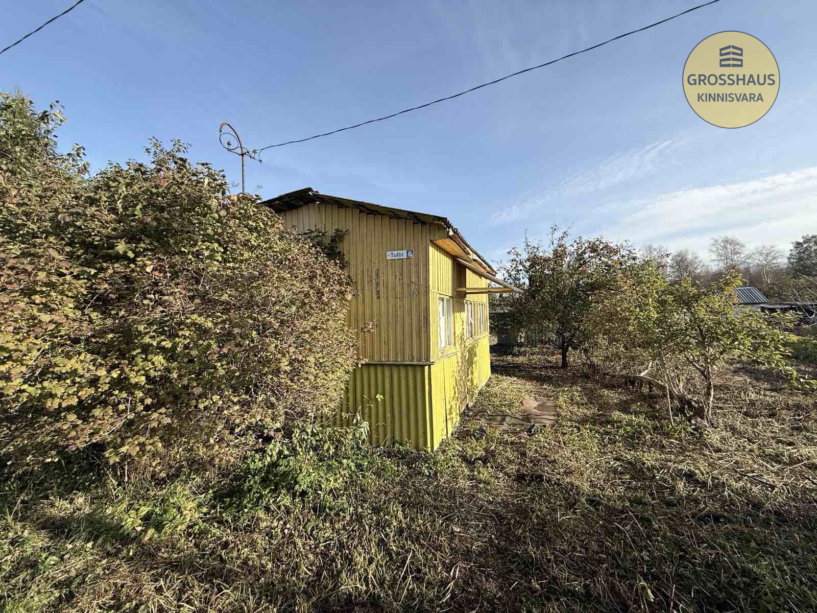 Объявление #81